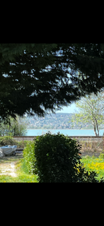 Nyugalom a Balaton partján